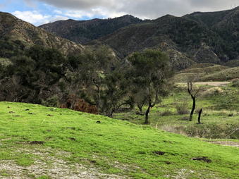 Enlarge photo 68