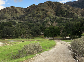 Enlarge photo 70