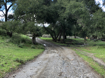 Enlarge photo 71