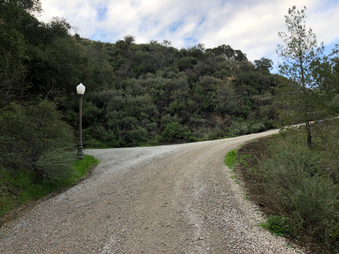 Enlarge photo 74