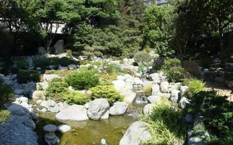 Enlarge photo 59