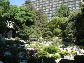Enlarge photo 63