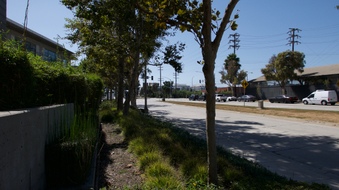 Enlarge photo 43