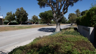 Enlarge photo 45