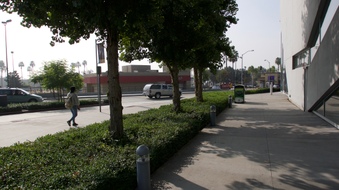Enlarge photo 24