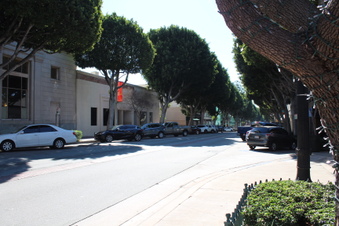 Enlarge photo 63