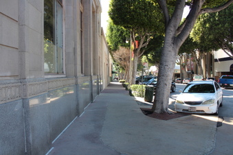 Enlarge photo 65