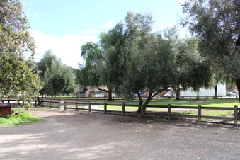 Enlarge photo 47