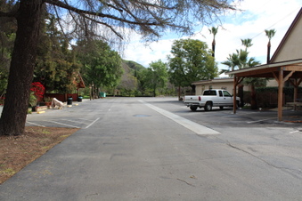 Enlarge photo 57