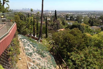 Enlarge photo 19