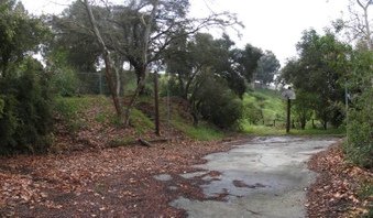 Enlarge photo 18