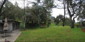 Enlarge photo 73
