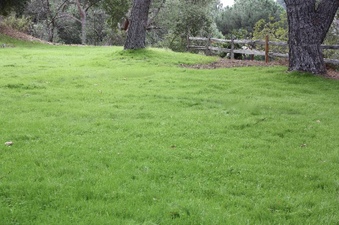 Enlarge photo 77