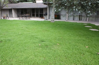 Enlarge photo 78