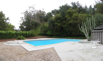 Enlarge photo 81