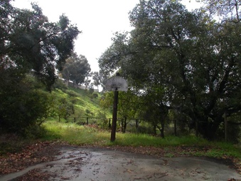 Enlarge photo 84