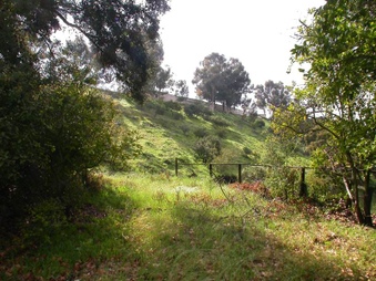 Enlarge photo 90