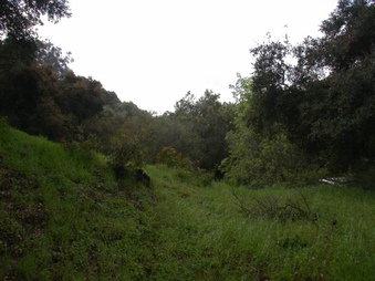 Enlarge photo 91