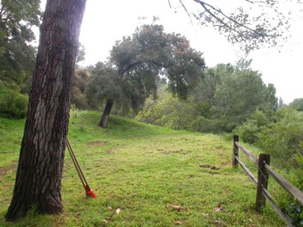 Enlarge photo 92