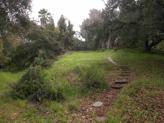 Enlarge photo 93