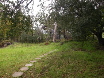 Enlarge photo 95