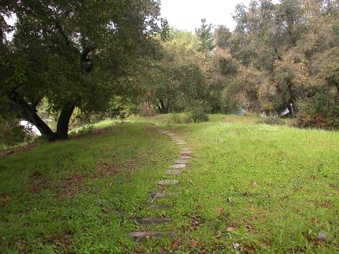 Enlarge photo 96
