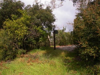 Enlarge photo 97