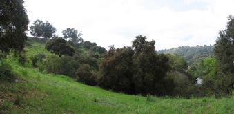 Enlarge photo 103