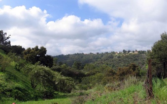Enlarge photo 104