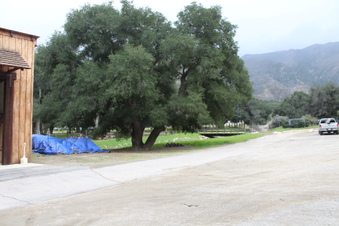 Enlarge photo 3