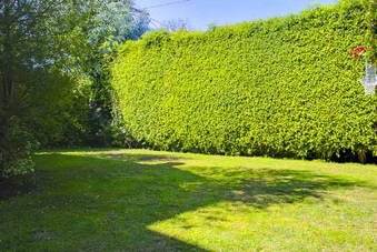 Enlarge photo 54