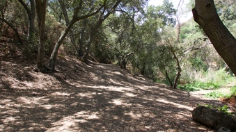 Calamigos Ranch