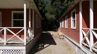 Enlarge photo 22