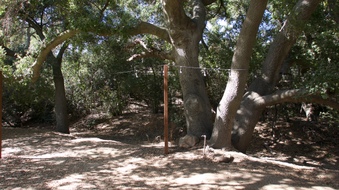 Enlarge photo 28
