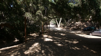 Enlarge photo 33
