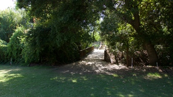 Enlarge photo 35
