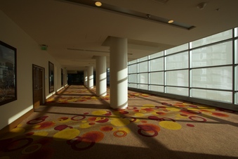 Enlarge photo 62