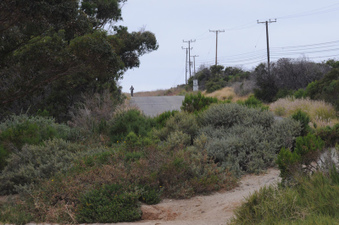Enlarge photo 15