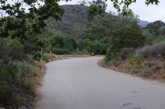 Enlarge photo 31