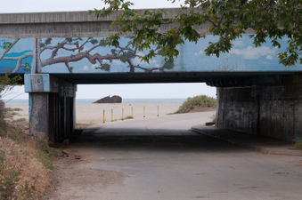 Enlarge photo 32