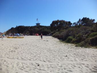 Enlarge photo 37