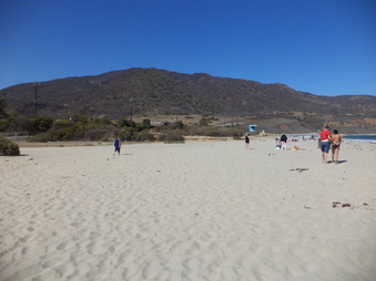 Enlarge photo 42