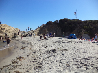Enlarge photo 46