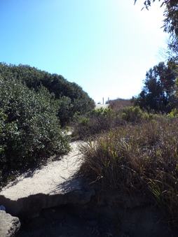 Enlarge photo 54