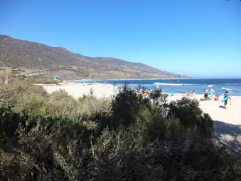Enlarge photo 58