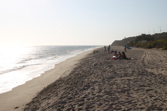 Enlarge photo 91