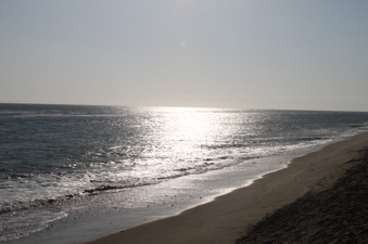 Enlarge photo 93