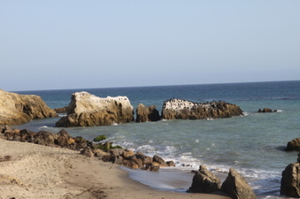 Enlarge photo 97