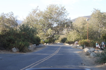 Enlarge photo 105