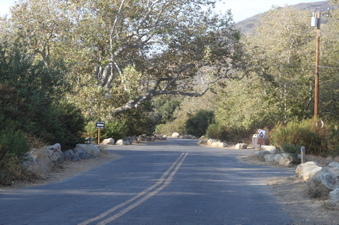 Enlarge photo 106